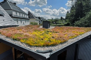 Dachbegrünung Flachdach